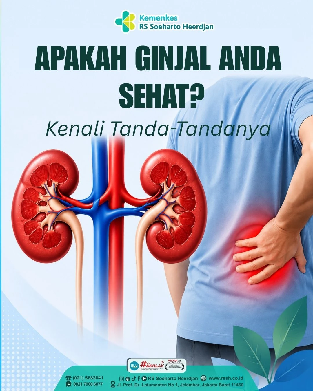 Waspadai Penyakit Ginjal: Kenali Penyebab, Gejala, dan Cara Mencegahnya